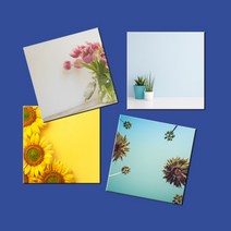 예닮 다꾸용품 정사각형 16종 떡메모지 떡메 미니노트 리갈패드 메모장 메모패드 무지 연습장 포스티 회사 관공서 선물용 떡메모지제작 소량인쇄 2권, 핑크튤립