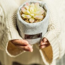 펠트화분 미니화분 바구니 기념일 심플 모던 가드닝 꽃 봄 분갈이, 상품선택, 브라운