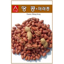 콩씨앗종자) 땅콩 재래종땅콩(500g) S2567