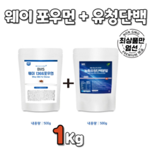 웨이 포우먼 초코 초코맛 500g+WPC 농축 유청 분말 500g 가루 파우더 파우다 powder 미국산 미국 순도높은 고 함량 앨 엘 l l- 알라닌 글루타민 글로타민 bcaa