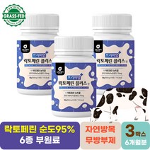 모메라이프 락토페린플러스 60정 3박스 동결건조 자연방목 고품질우유생산
