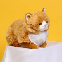 [윤스토어W] 위더펫 리얼 고양이 인형 페르시안 친칠라 브라운 121021EA 강아지 미니강아지인형 대형강아지인형 피규어 애착인형 대형애착인형 캐릭터 베개 바디필로우 모찌인형, 본상품선택
