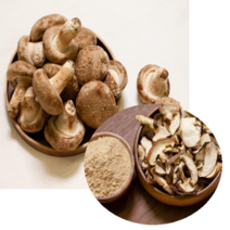 문경 유황 백송화버섯 100g 120g 500g 1kg 문경버섯 유황버섯 송화버섯요리 송화버섯 효능 송화고버섯, 유황 백송화버섯 1kg 상품