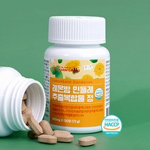 레몬밤 단델리온 민들레 추출물 복합 120정 2개월분, 1.레몬밤 단델리온 추출복합정 120정x 1통, 1개
