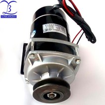 450w 500W 600W 24V/ 36V / 48v 벨트 풀리 기어 모터 브러시 모터 전기 세발 자전거 모터 DC 기어 브러시 모터 MY1020ZXF|직류 전동기|, 1개, 단일, 36V  500W