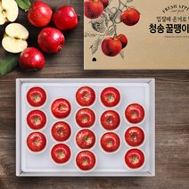[청년연구소] 청송 꿀땡이 사과 5kg 15-17과(중과), 상세 설명 참조