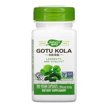 네이쳐스웨이 고투콜라 475mg 100베지캡슐 스테아린산마그네슘