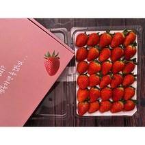 무농약 GAP 설향 논산 제철 생 딸기 1kg 대왕 왕, 특(35구 / 23~26g), 1상자