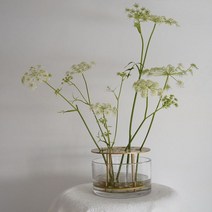프리츠한센 이케바나 화병 꽃병 Fritz Hansen Ikebana, 소형 W11xH13cm