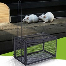 쥐 두더지 덪 덫 틀 끈끈이 찍찍이 퇴치 트랩 마우스 1pc 제어 캐치 미끼 케이지 재사용 가능한 설치류 동물 라이브 햄스터 케이지, 한개옵션0