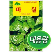 대용량 바질씨앗 100g 허브씨앗 (C0352), 1개