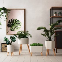 올리 인테리어 저면관수 화분 플라스틱 실내 대형 미니 OLGP, 원통형