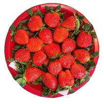 자체브랜드 딸기1kg 특크기 설향 장희 딸기, 딸기