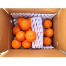당이높은 상큼한 시지않은 신선 제주직송 레드향 가정용 선물용 2kg (선물용가방포함) 단단한 식감, 1개