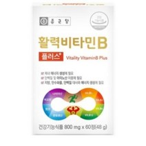 종근당 활력 비타민B 플러스, 2개, 48g