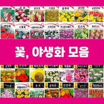 꽃씨 씨앗 제라늄 물망초 연꽃 백일홍 구절초 수레국화 버베나 다알리아 천일홍 핑크메밀 키우기, 13.루드베키아