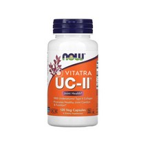 Now Foods 나우푸드 비변성 콜라겐 타입 II 40mg 120 베지 캡슐