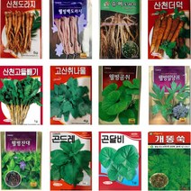 민속채소 약초 씨앗 종자 산마늘 도라지 야관문 방아 더덕 냉이 취나물 곰취 와송 곤달비 개똥쑥, 30. 냉이 3g
