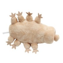 물 곰 봉제 인형 공간 생물 물 곰 버그 인형 시뮬레이션 버그 어린이와 성인 선물을위한 짧은 인형 봉제 인형, AS 쇼