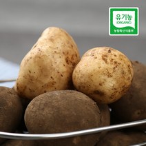 브랜드없음 강원도 감자 중품 10kg, 단품없음