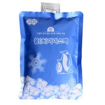 물 아이스 팩 얼음팩 박스 냉매 포장용 쿨팩 제 냉팩 택배 dldpvmtl*4921481Ig, 본상품선택
