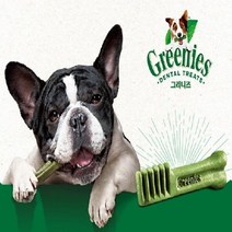 그리니즈 애견 반려동물 개껌 간식 쁘띠트_10P(170g), 엘림헬스케어81 1, 엘림헬스케어81 본상품선택