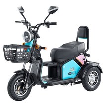 삼륜 여성 노인 전기스쿠터 오토바이 전동차 3륜바이크 전기차, 48V, 알루미늄휠600w+60v20A배터리+충전기