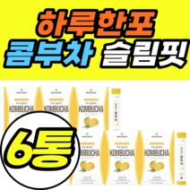 하루한포 콤부차 슬림핏 홍차잎 레몬 유산균 스틱