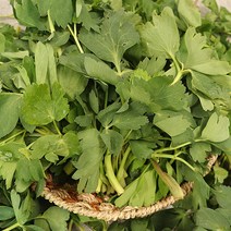 알싸하면서 향기 가득한 취나물 쌉싸름한 맛이 좋은 방풍나물 2kg 4kg, 취나물4kg