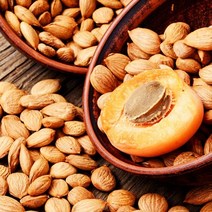 살구씨유 / 클렌징오일 만들기 추천 살구씨오일, 500ml