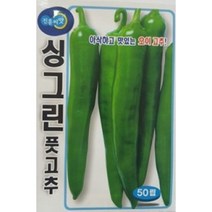 오이고추 싱그린 고추씨앗(50립)(A0186), 1개