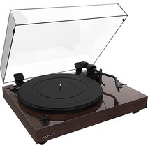 플루언스 RT82 참조 Ortofon OM10 카트리지 속도 제어 턴테이블, Walnut, 월넛
