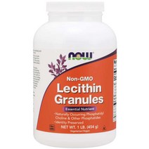 나우푸드 레시틴 과립형 Non-GMO 454g X2병, 2개