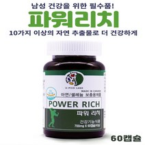 U-PICK LAND 파워리치 남성 피로회복 영양제 아연 아르기닌 마카 쏘팔메토 남가새, 1통, 60캡슐