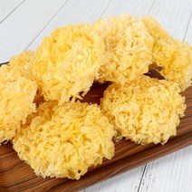 노씨네 버섯 백목이 흰목이버섯1kg, 2개, 1kg