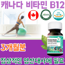 식약처 인증 캐나다 직 수입 기능성 안전성 인정 비타민 B 12 단일 성분 조효소 채식 주의자 정상적인 엽산 휴대 간편한 초소형 타블렛 건강 기능 식품 영양 보충 제 파는곳 추천, 1