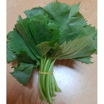 국산 곰취 1Kg 곰취나물 봄나물, 곰취나물 1Kg