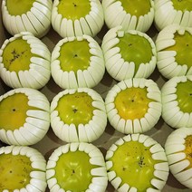 최강의 식감 가정용 태추단감, 가정용 태추단감 중과 2kg(12과내외)