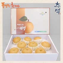 2023년 전남나주 햇배 5KG 가정용 선물용 배선물세트 햇신고배, 1개, 특품 (5-7과)