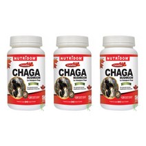 뉴트리돔 프리미엄 차가버섯 Chaga mushroom 120정 x3, 3개