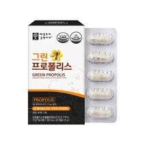 애플트리김약사네 그린프로폴리스 추출분말 플라보노이드 17mg 플라보노이드 아연 건조효모 항산화 호주산 캡슐 영양제 건강기능식품, 2개, 30캡슐