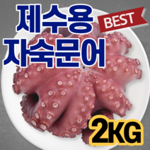 제수용 자숙 문어 한마리 제사상 제삿상 차례상 차레 조상 1KG 1.5KG 2KG 재수용 문어탕 돌문어 카르파쵸 문어볶음 숙회 쫄깃 담백 삶은 데친 대친 문어 요리 재사 모임