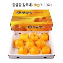 제주 황금향 선물세트 3kg (왕특대과) 7-10과 / 하우스 노지 고당도 귤 감귤 밀감 레드향 천혜향 카라향 청귤 수라향 신비향 가정용 추석 명절 설 감사 선물 조생 타이벡, 3kg (특대) 11-13과