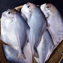 신안 병어 손질 횟감 참병어 자연산 병어찜, [손질 병어], 소 사이즈 (250-290g) 1마리, 1개