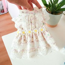 DFMEI 강아지 플라워 레이스 스커트 테디베어 VIP 애완동물 고양이 여름 얇은 공주 원피스, 담자색, M-8근 정도