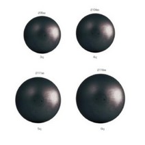 스타 포환 3kg 4kg 5kg 6kg 남중 남고 여중 여고 포환던지기 학교체육 ZR450