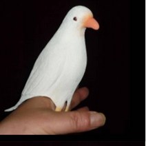 매직비둘기 매직 트릭 소품 장기자랑 파티 축제 새 카드 / 마술용 / 트릭 / 매직 / 스폰지 / 동전 / 마술 / 스카프