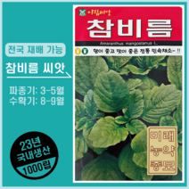 23년산 참비름 나물 씨앗 1000립- 전국재배가능 재래종 민속채소