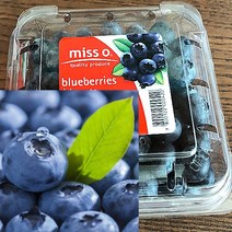 칠레 생 블루베리 생과 미국산 국산 생 블루베리 125g, 3팩