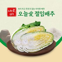 오늘애푸드 절임배추10kg, 2월23일 목요일 도착